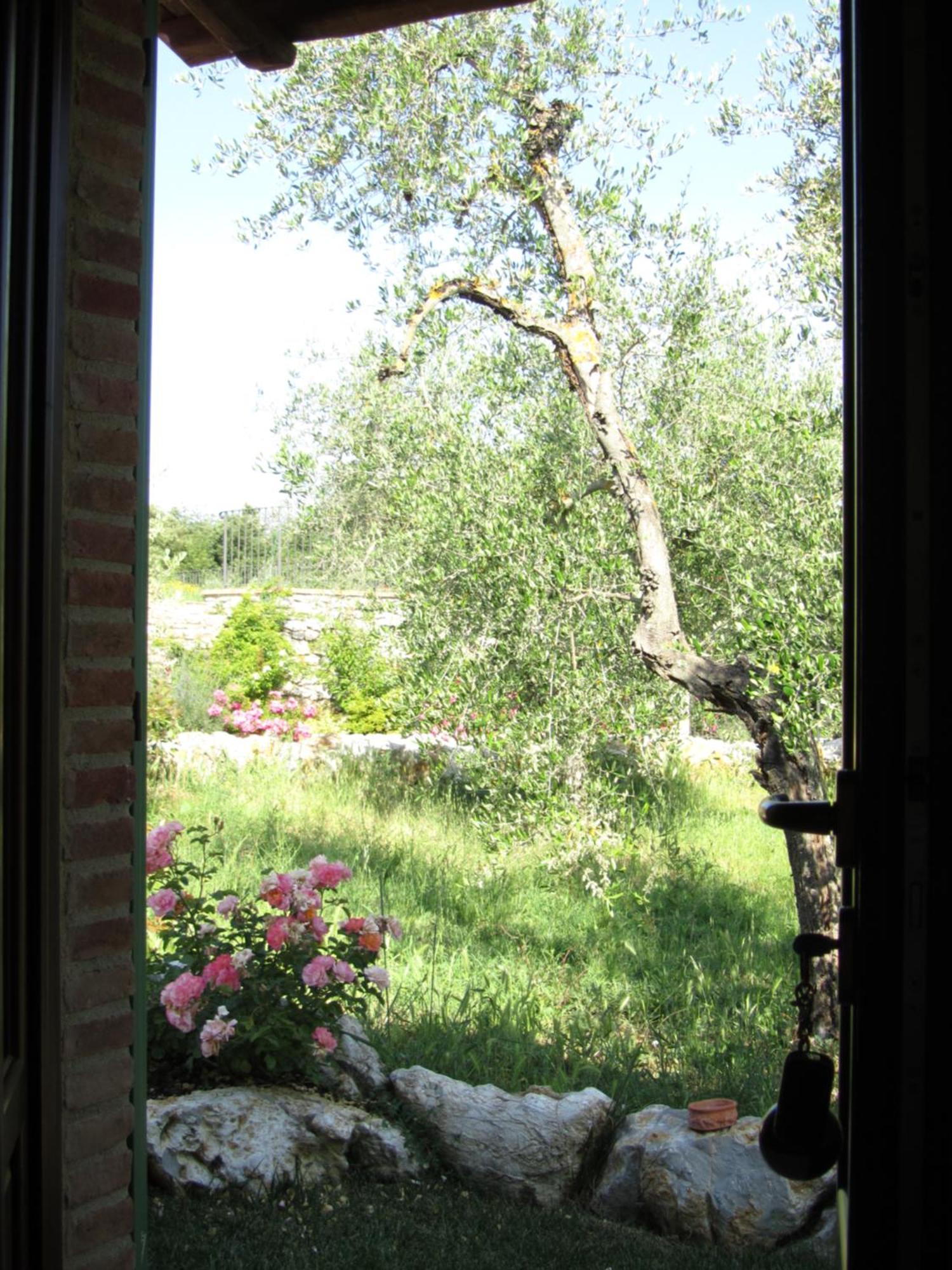 Agriturismo Borghetto Il Montino Rapolano Terme Exterior photo